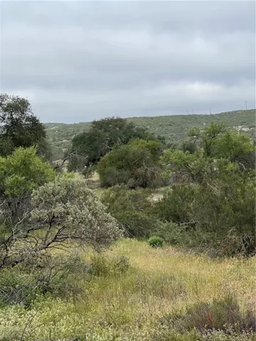 View from parcel.