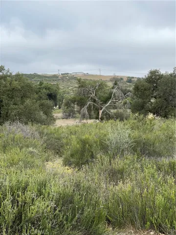 View from parcel.