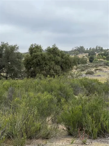 View from parcel.