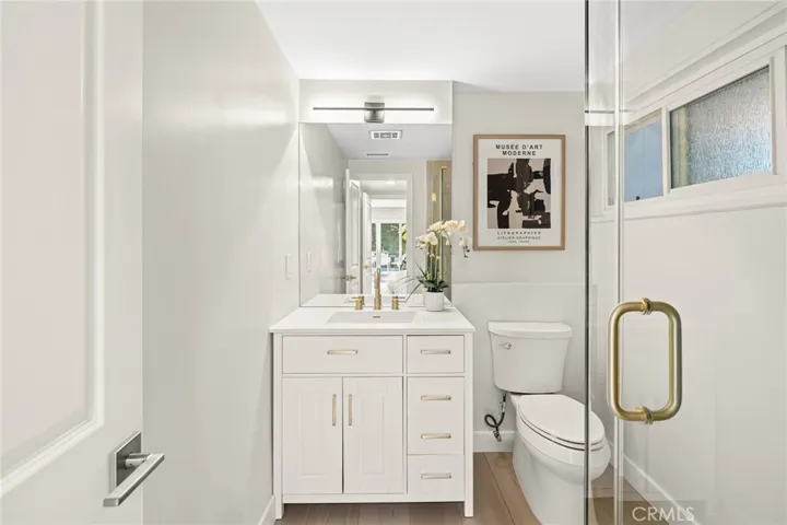 Lower level bathroom