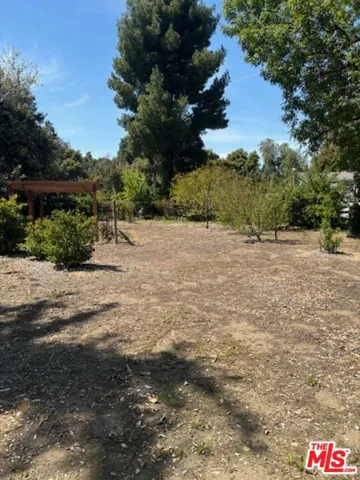 Fruit trees