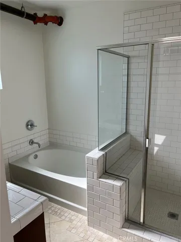 primary suite shower and tub