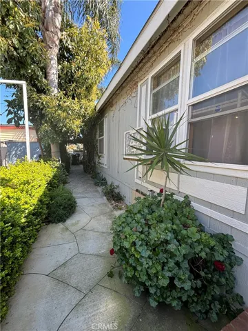 Side Yard