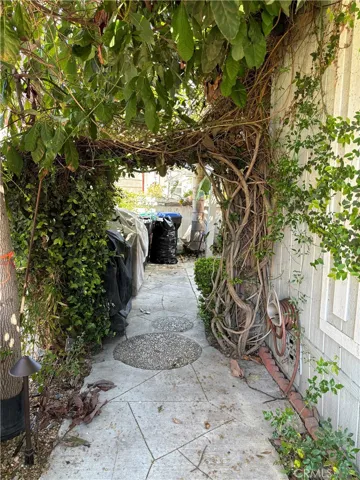 Side Yard