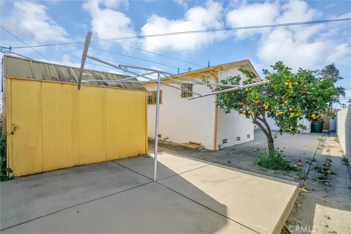 Lemon Tree