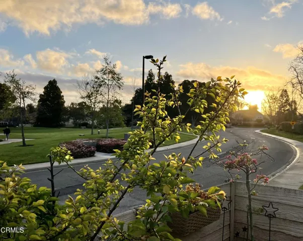 PATIO VIEW