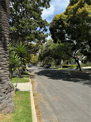 Manicured Homes with mature trees on this Street
