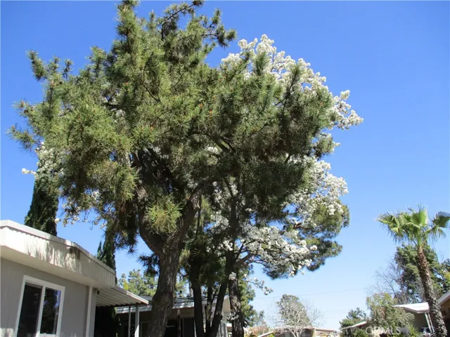1425 Cherry Avenue 172, Beaumont, California 92223