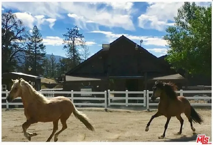 2032 Woodland Drive, Pine Mountain Club, California 93222