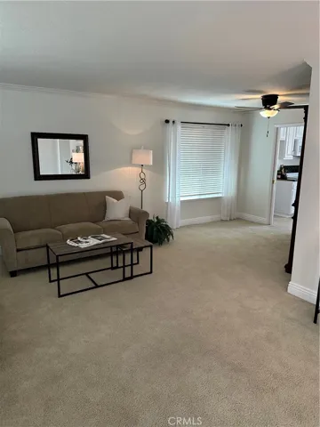 Spacious Living Room