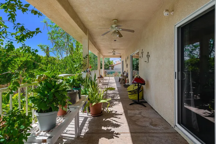 patio 2