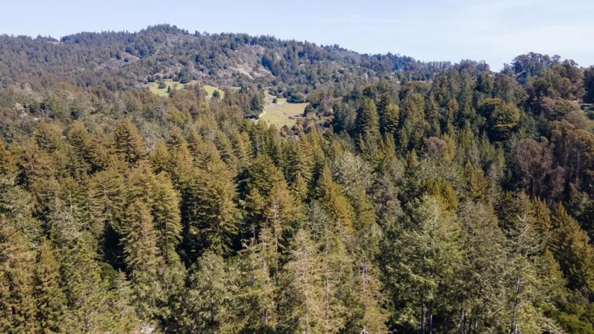 33 Bear Valley, Aptos, California 95003
