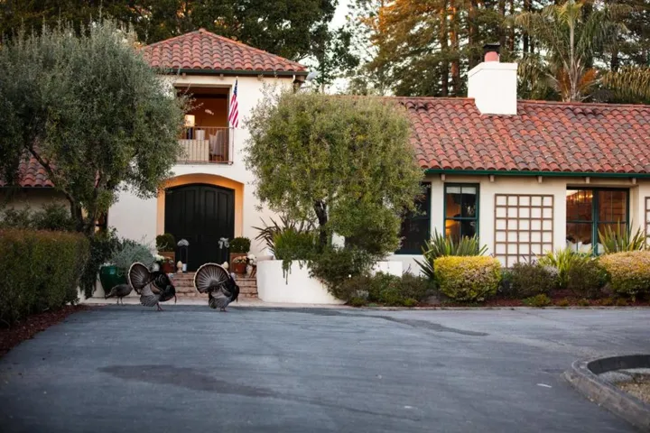 33 Bear Valley, Aptos, California 95003