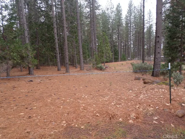 Driveway that was put in to get to the building pad