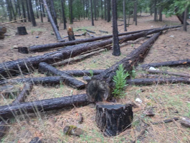 Most of the property has been cleared of thick brush etc