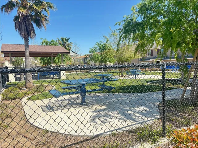 Dog Park
