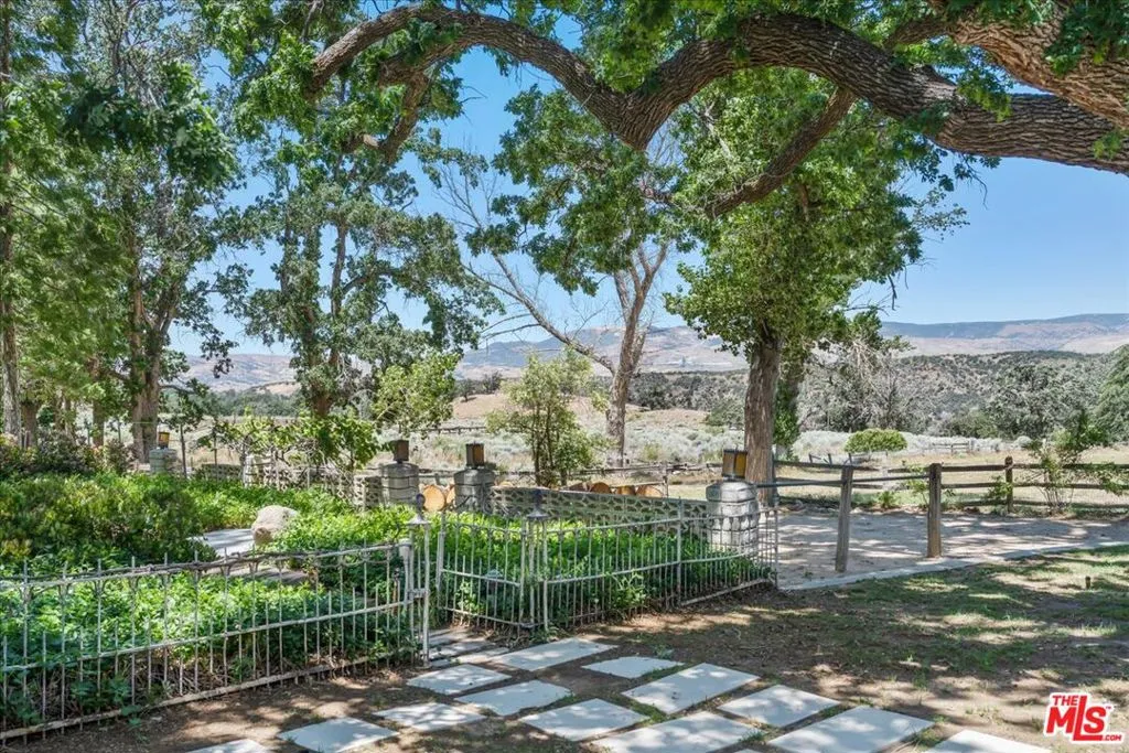 31008 Pine Canyon Road, Lake Hughes, California 93532 home-pic-2