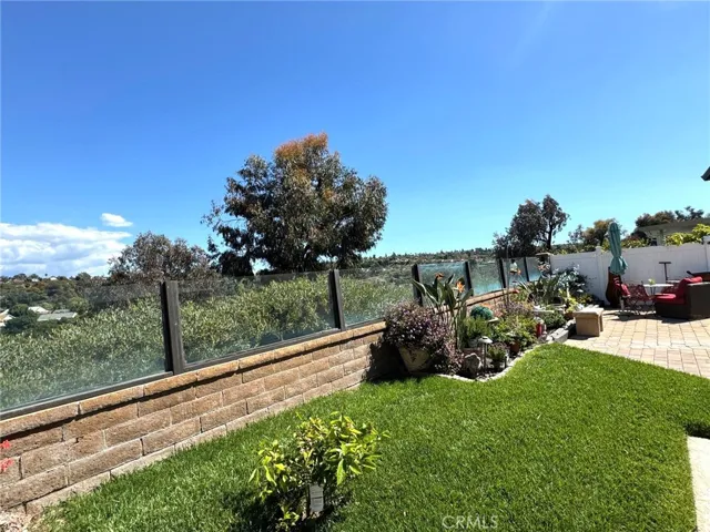 Grassy view yard