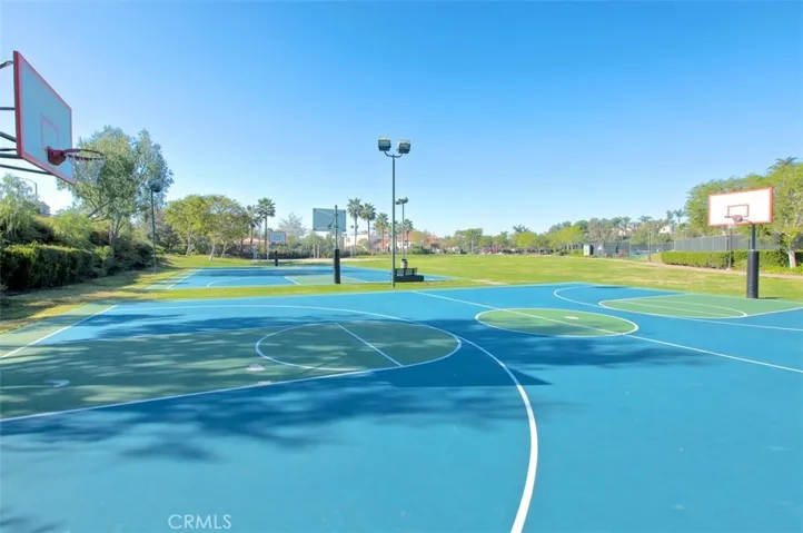 Basketball fun