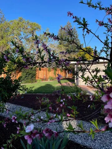 3898 Mumford Place, Palo Alto, California 94306