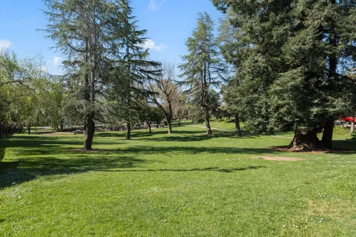 Castro Valley Community Park Across the street