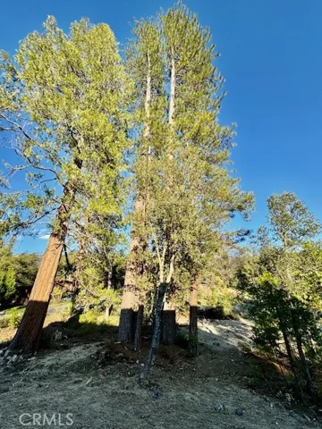 5594 Red Ibis Court, Mariposa, California 95338