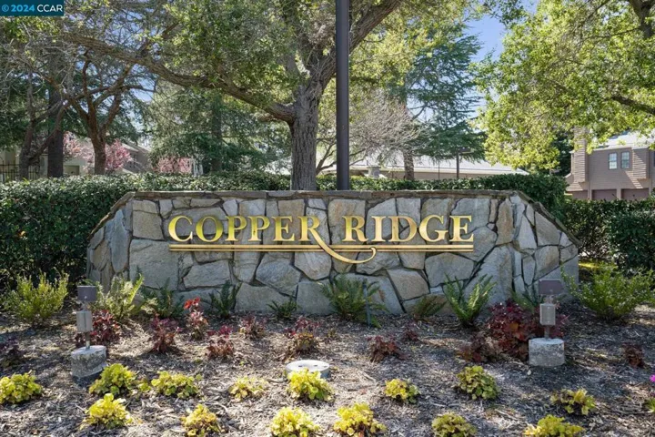 207 Copper Ridge Rd, San Ramon, California 94582