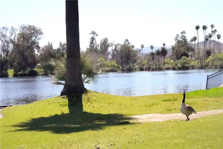 RELAX BY THE LAKE
