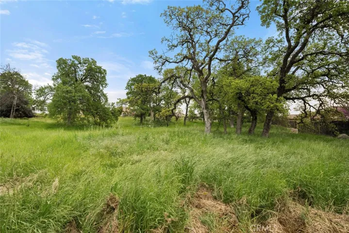 1930 Preservation Oak Drive, Chico, California 95928