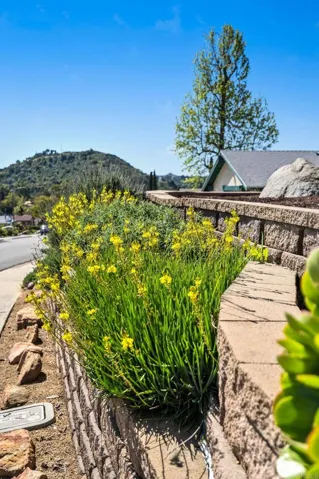 13439 Orange Blossom Lane, Poway, California 92064