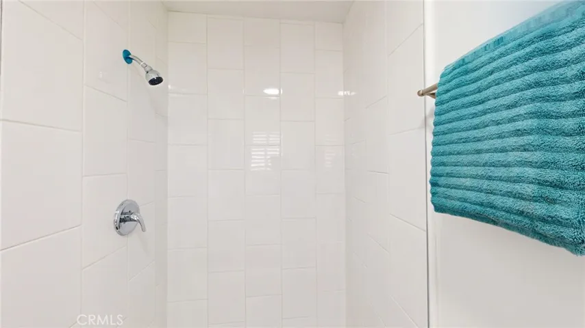 MAIN BATHROOM SHOWER