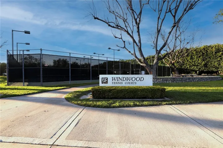windwood