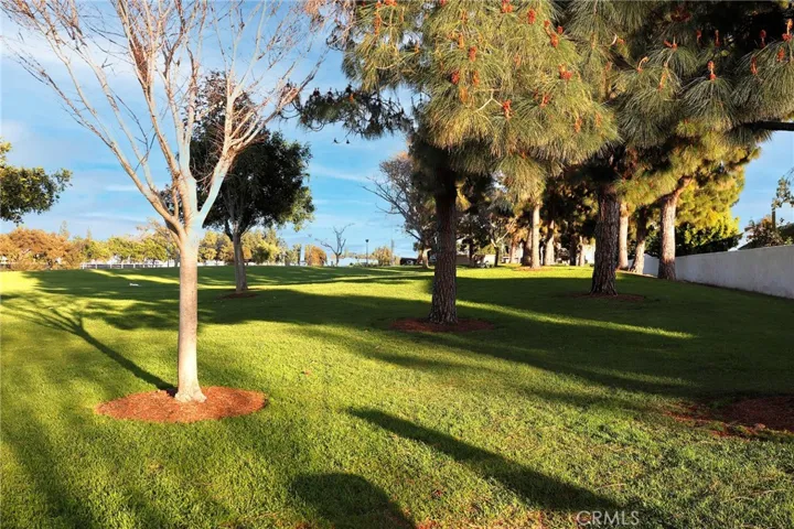 winwood