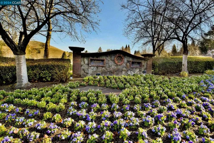 116 Birchbark Pl, Danville, California 94506