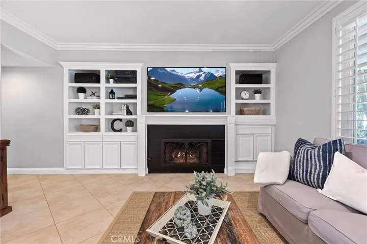 Custom fireplace doors.