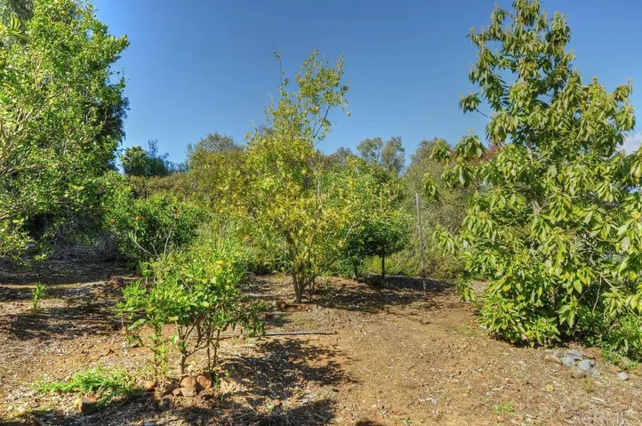 Orchard has citrus, avocado, nectarine and more. Irrigated and fenced.