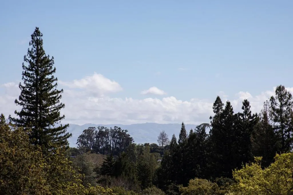 19351 Redberry Drive, Los Gatos, California 95030 home-pic-62