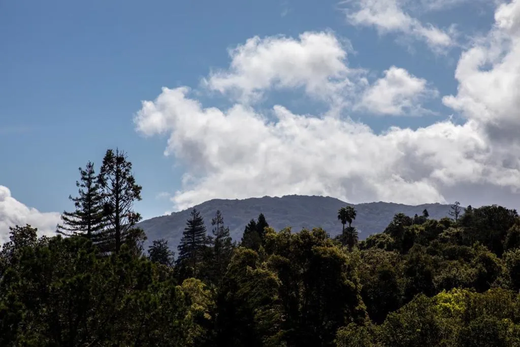 19351 Redberry Drive, Los Gatos, California 95030 home-pic-35