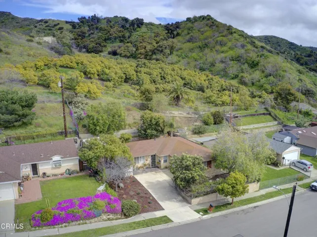 Gentle Sloping Orchard beind property