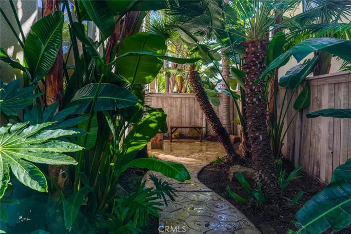 Lush side yard