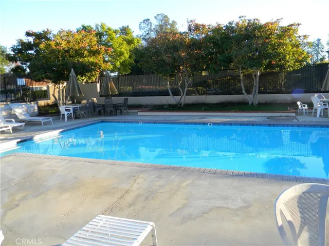 Swim Club pool