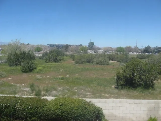 Bedroom window view