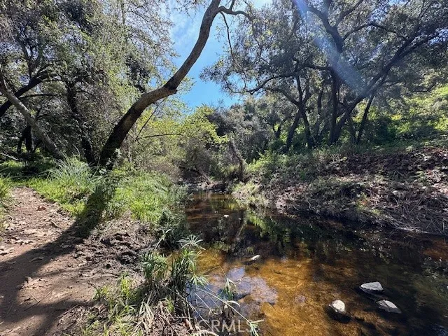 Rainbow Creek