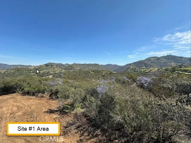 Site #1 Area