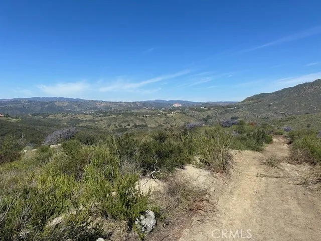 Site #1 Area View