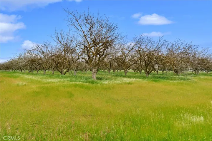 11778 Marietta Avenue, Clovis, California 93619