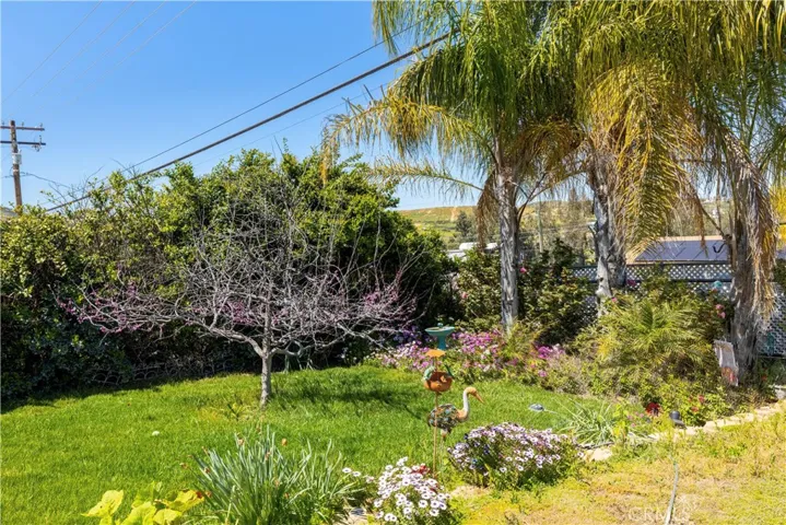 Lots of beautiful trees and garden areas.