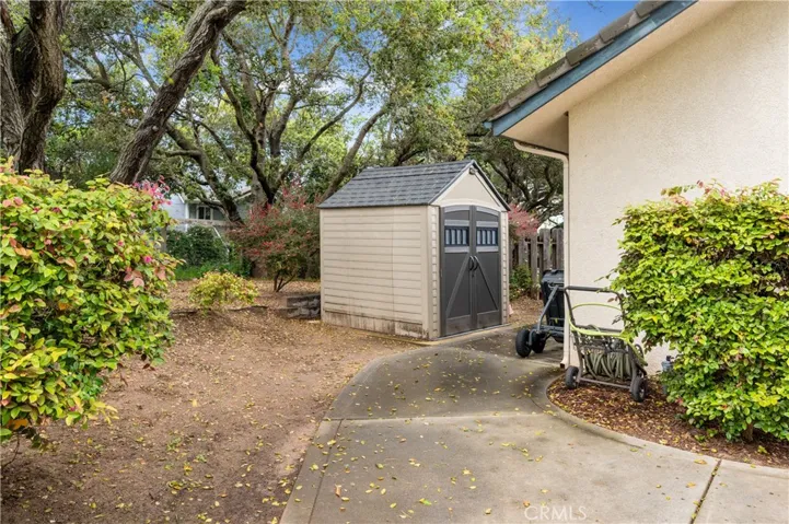 Back Side Yard