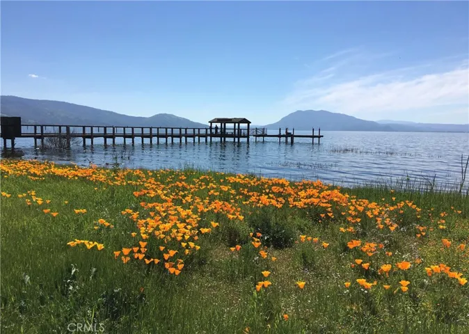 This shot taken from Lakeshore Drive just a short walk from the property...