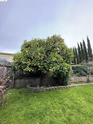 3283 Naomi Drive, Hayward, California 94541